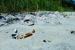 Beach Litter