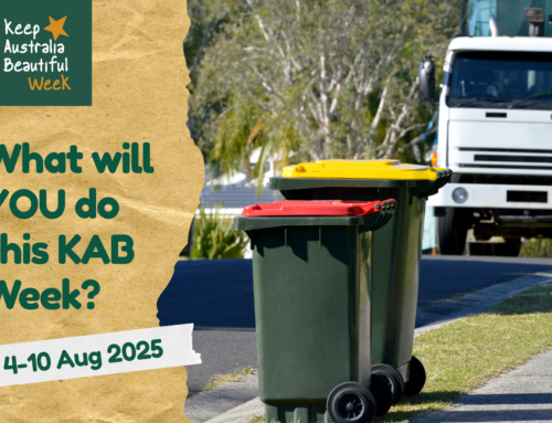 How local Councils can get Involved in  Sustainability Initiatives like KAB Week