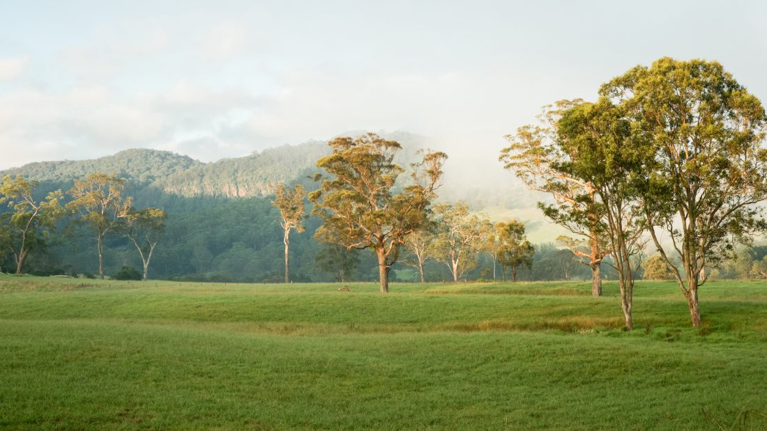 Homepage-1-1920×1080