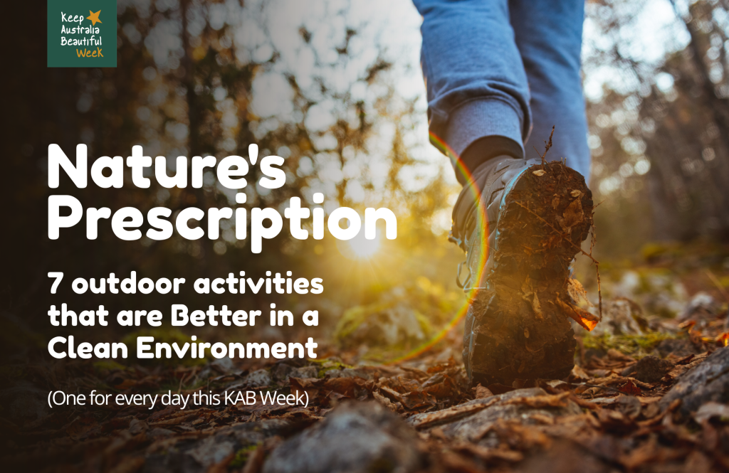 Nature Immersion BLOG banner