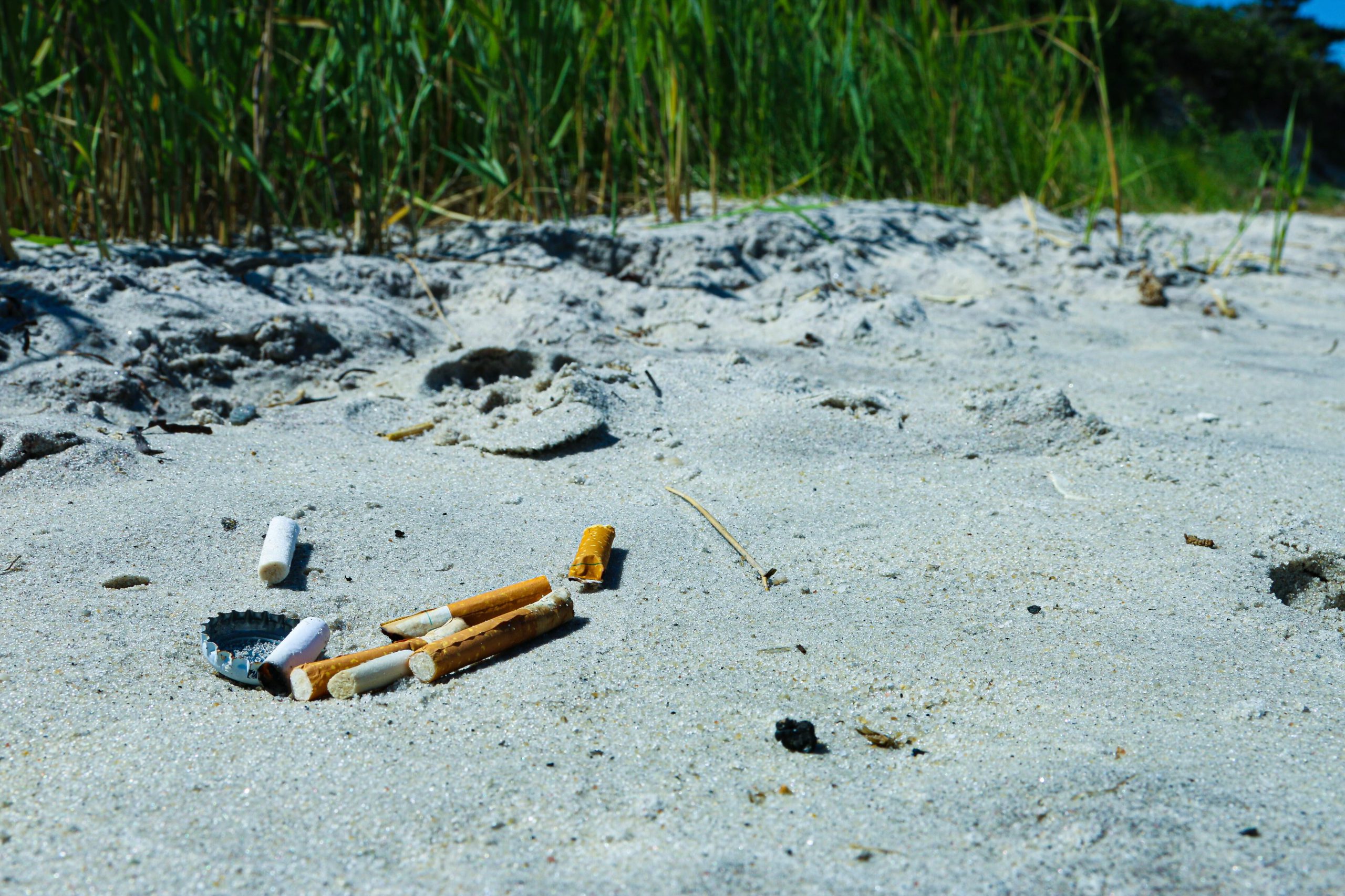Cigarettes and litter on beach