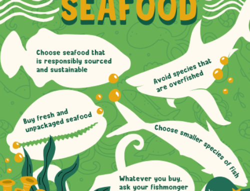 5 Basic Tips to Sustainable Seafood over the Festive Season