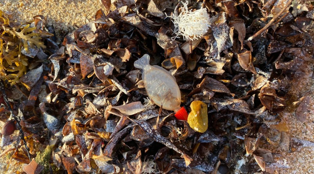 web-header-3